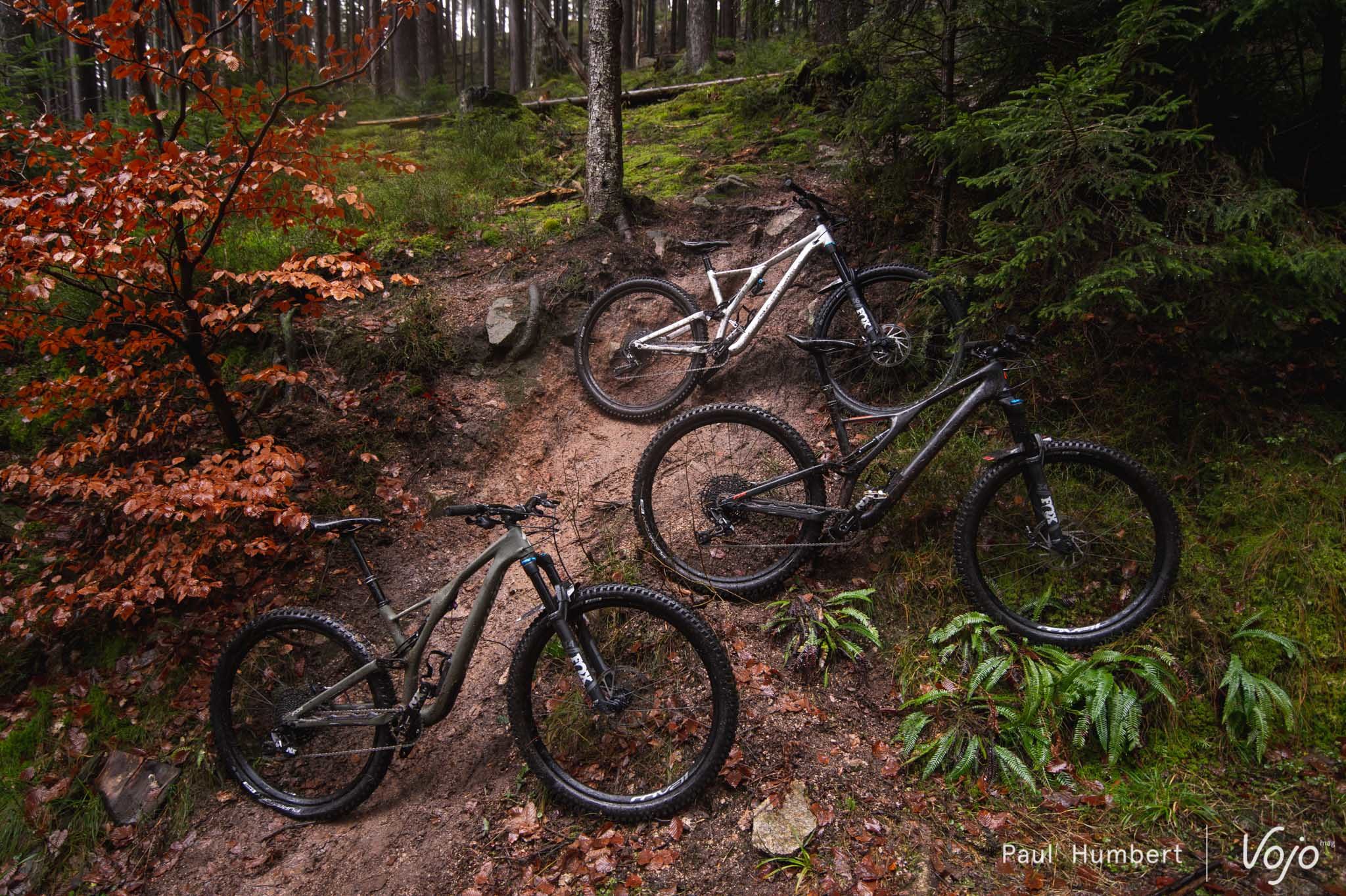 specialized stumpjumper 2019 evo