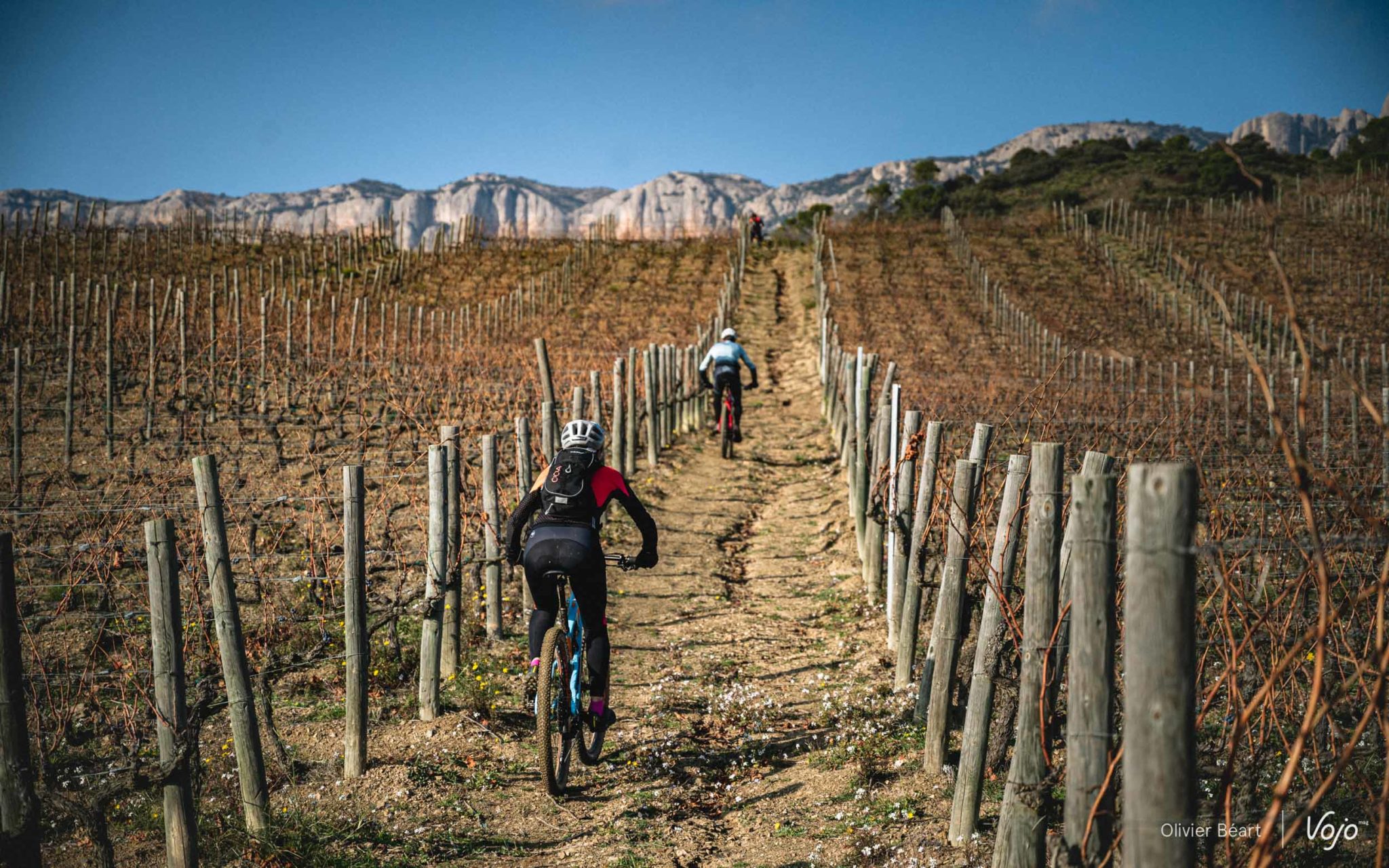 Ontdekking | Priorat: rijden tussen de wijngaarden