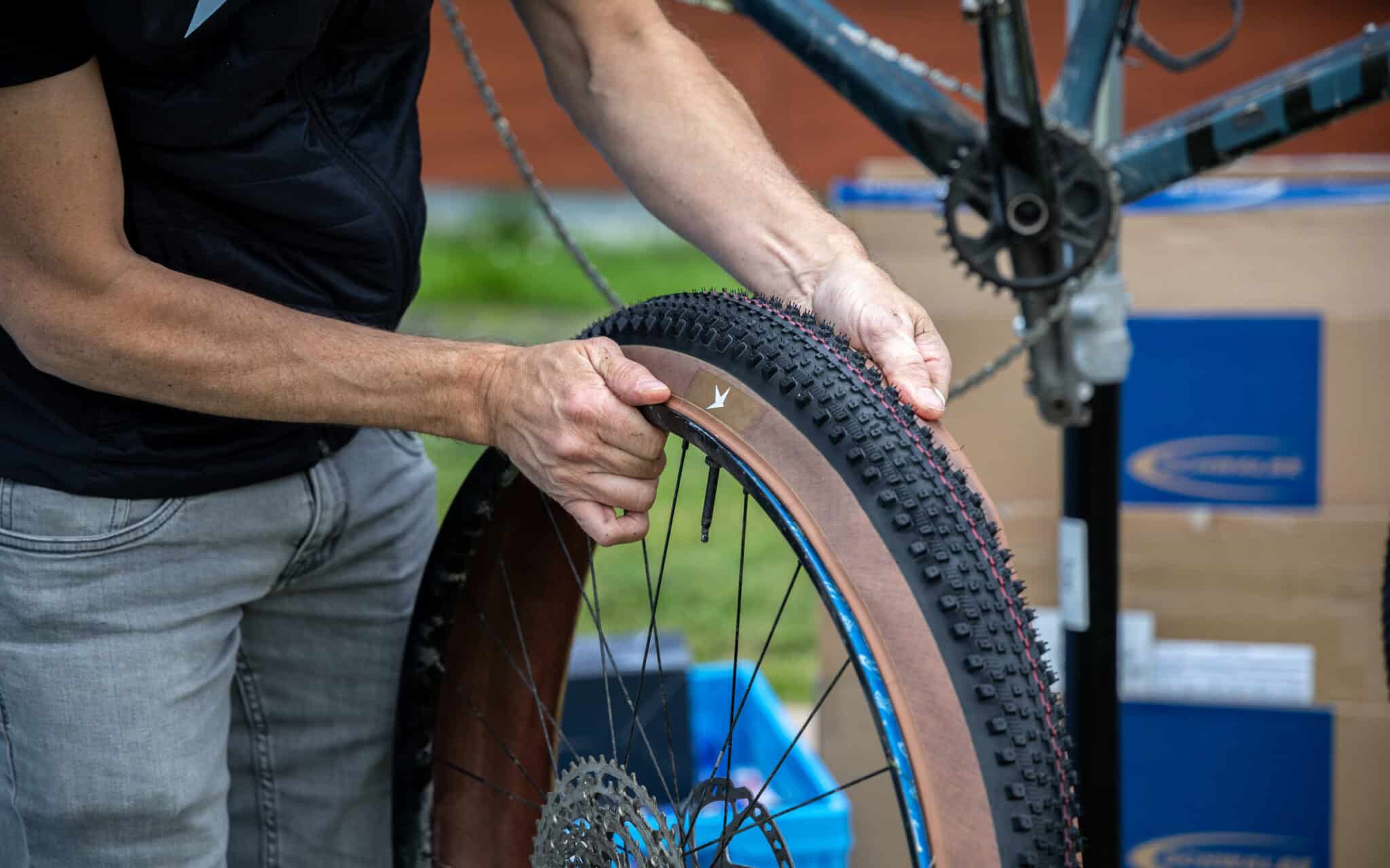 https://www.vojomag.nl/app/uploads/2024/07/2024 07 11 Schwalbe Rick XC Pro NL launch by Erwin Sikkens 7 2048x1280.jpg