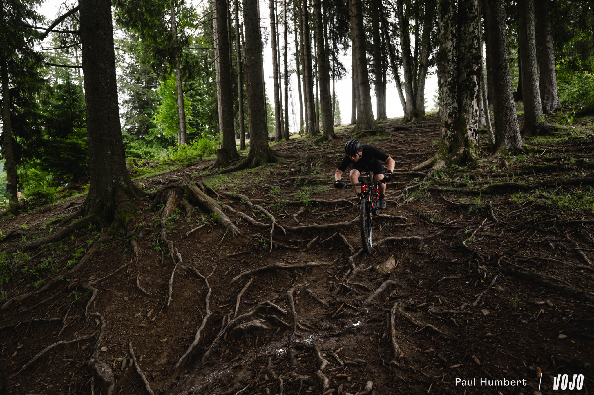 https://www.vojomag.nl/app/uploads/2024/07/pinarello dogma ht hardtail test pauline ferrand prevot xc 2024 vojo paul humbert 3.jpg