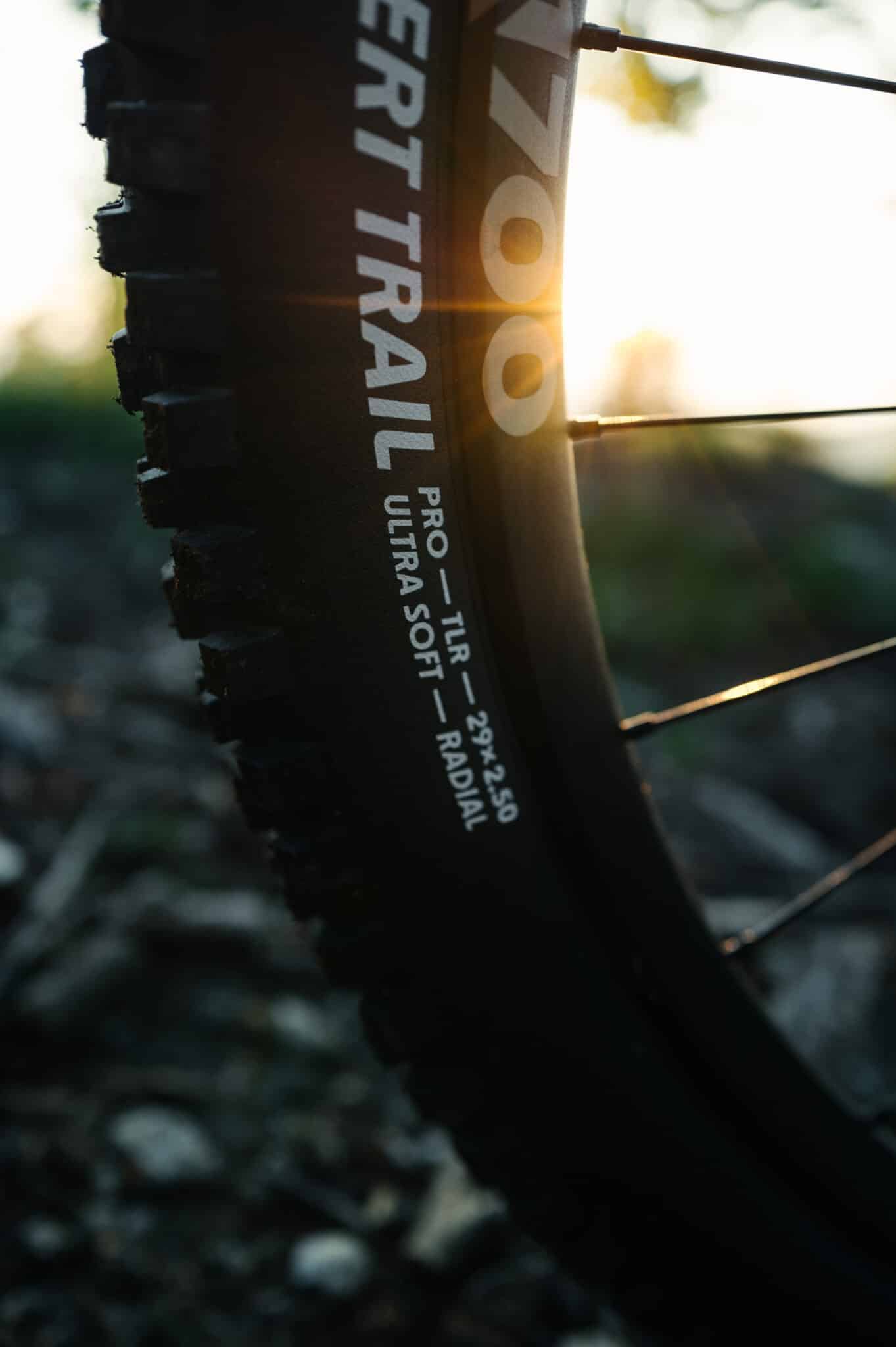 https://www.vojomag.nl/app/uploads/2024/08/Schwalbe albert radial finale 04 2 1363x2048.jpg