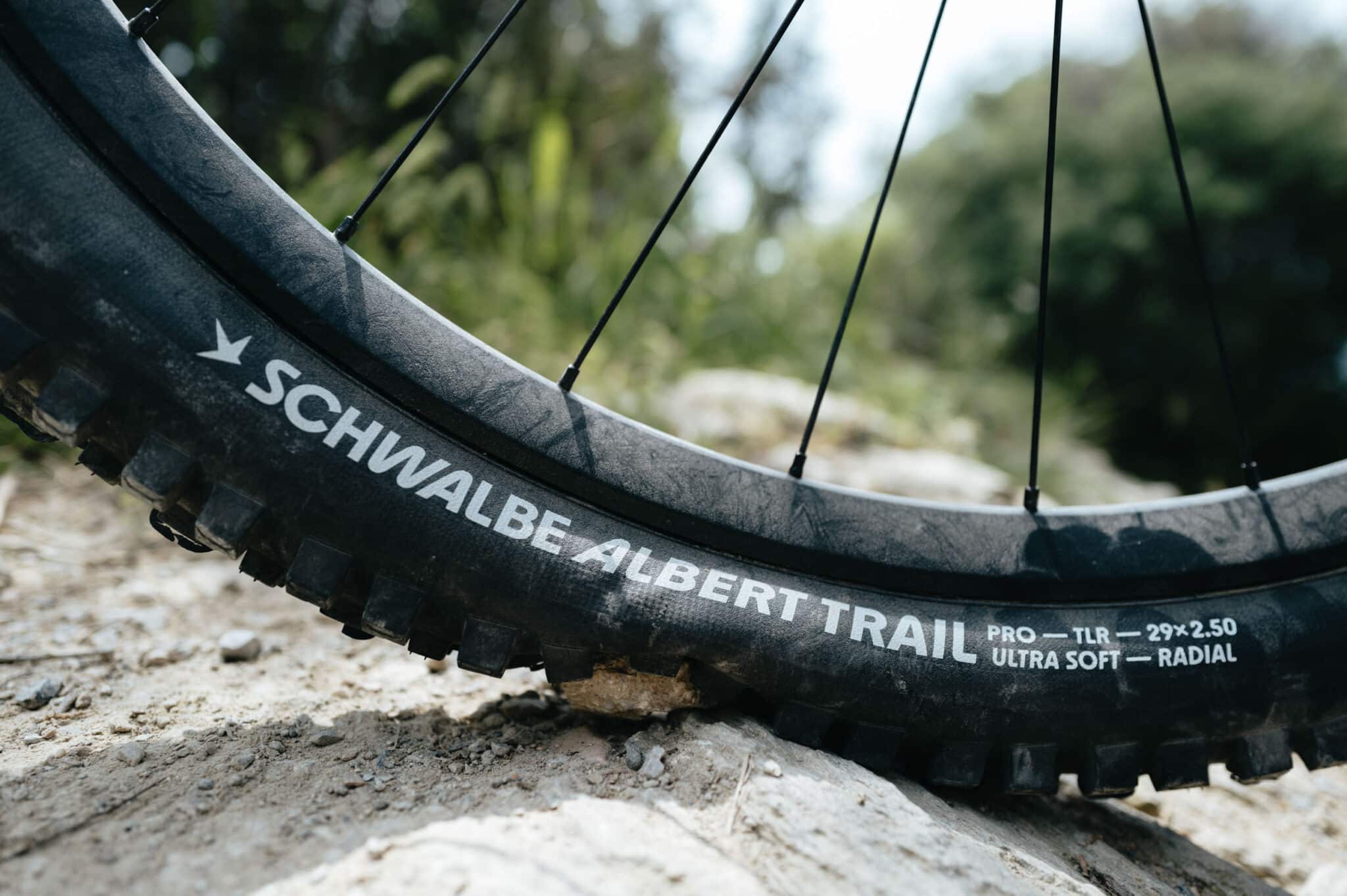 Nieuw | Schwalbe brengt met de Albert en Shredda radiaal MTB-banden op de markt