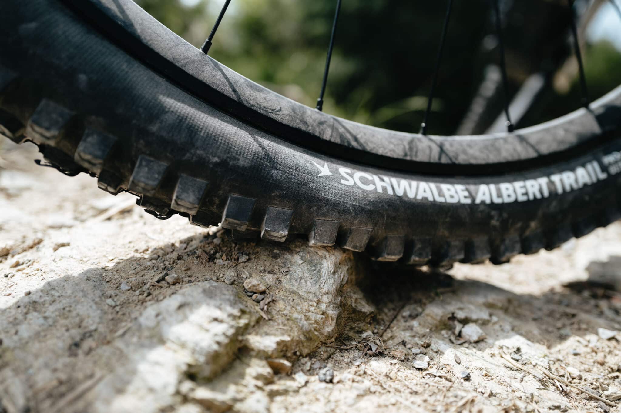 https://www.vojomag.nl/app/uploads/2024/08/Schwalbe albert radial finale 13 2 2048x1363.jpg