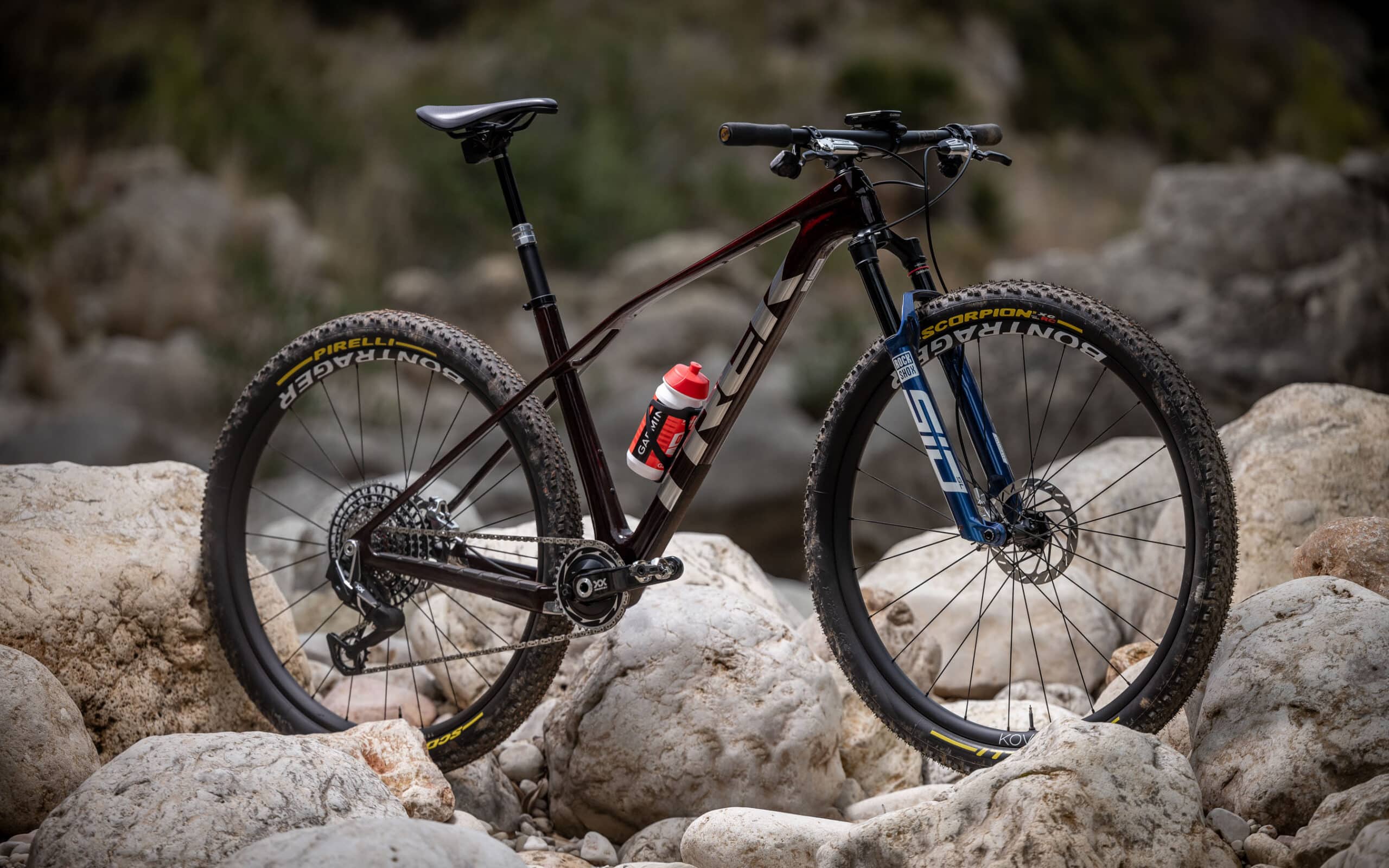 https://www.vojomag.nl/app/uploads/2024/08/Trek Procaliber 2024 Test Avis Vojo A.Protano 1 2 scaled.jpg