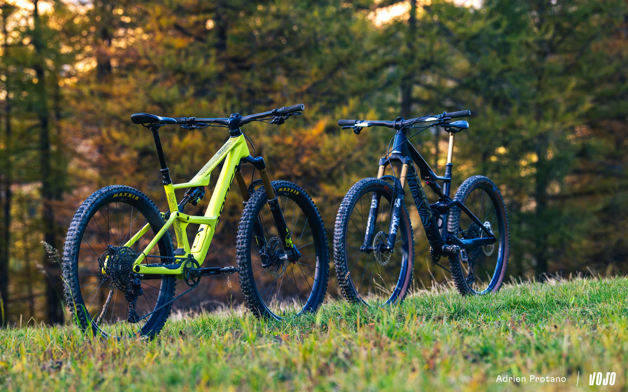 https://www.vojomag.nl/app/uploads/2024/11/Orbea Occam SL VS LT test avis comparaison Vojo A.Protano 1 16.jpg